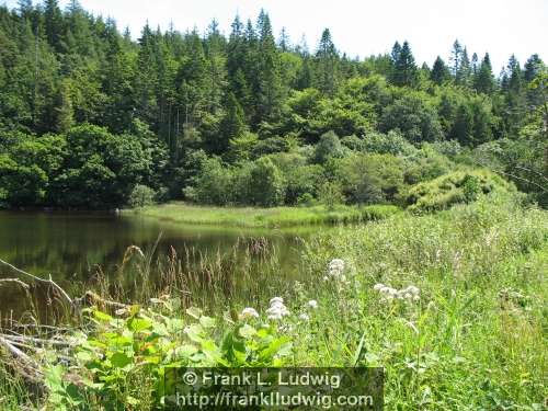 Lough Gill, County Sligo